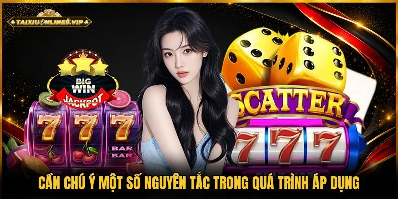 Trong quá trình áp dụng cần chú ý một số nguyên tắc