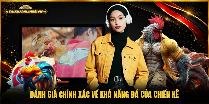 Xem xét chính xác được khả năng của gà chiến